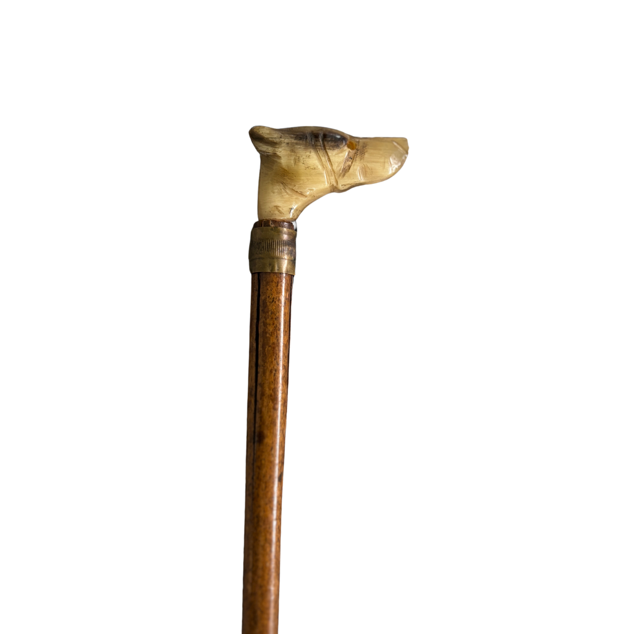 Carved Horn Dog Head Cane