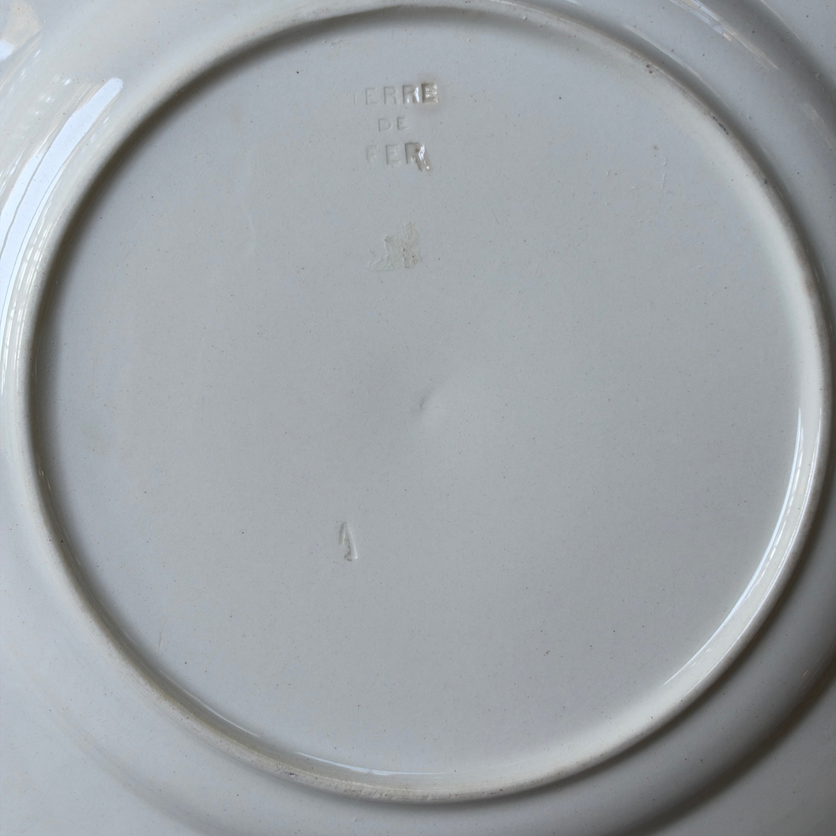 Antique French Terre de Fer Bird Plate