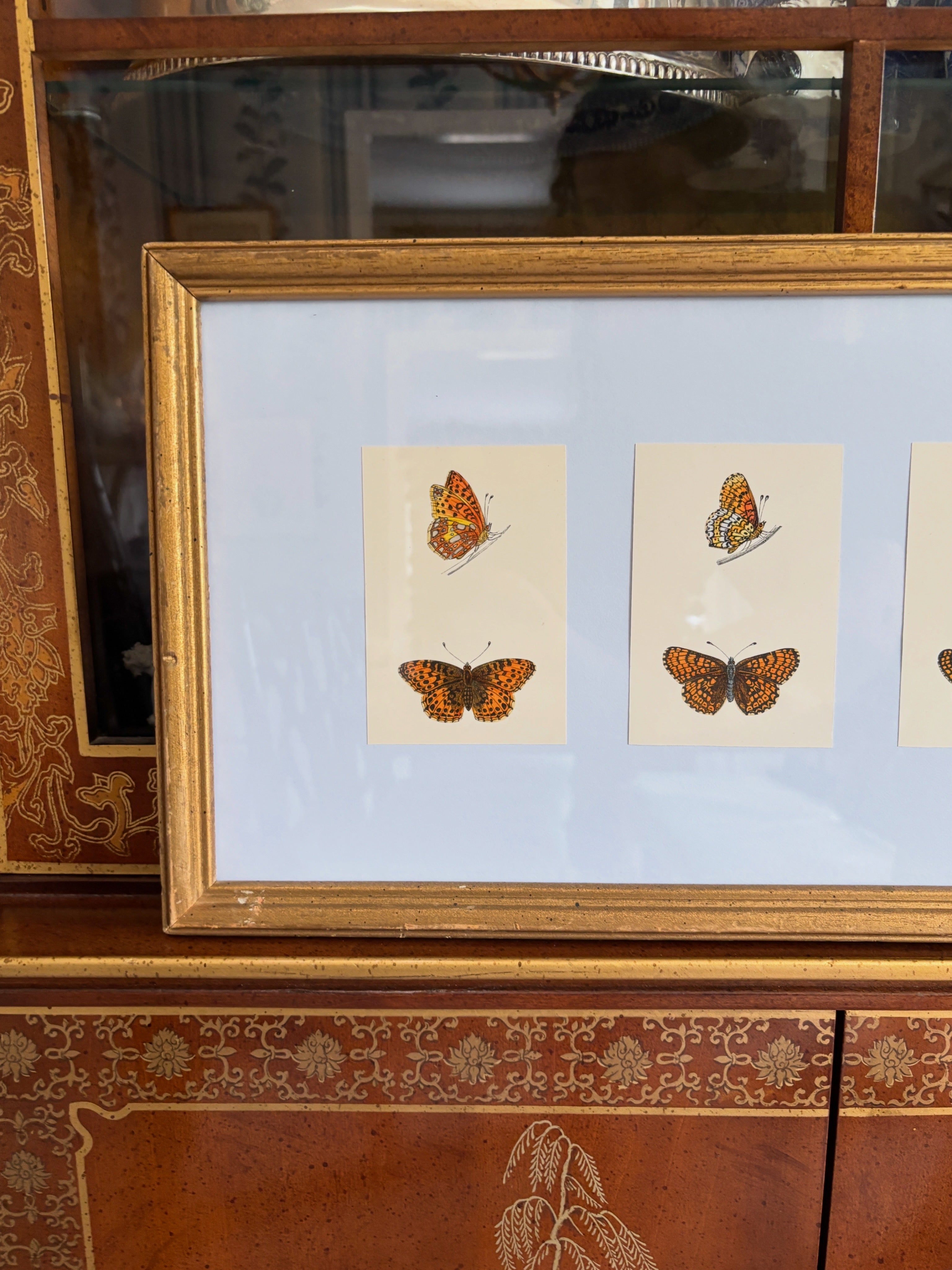 Antique Butterfly Engravings, Light Blue Mat, Vintage Frame