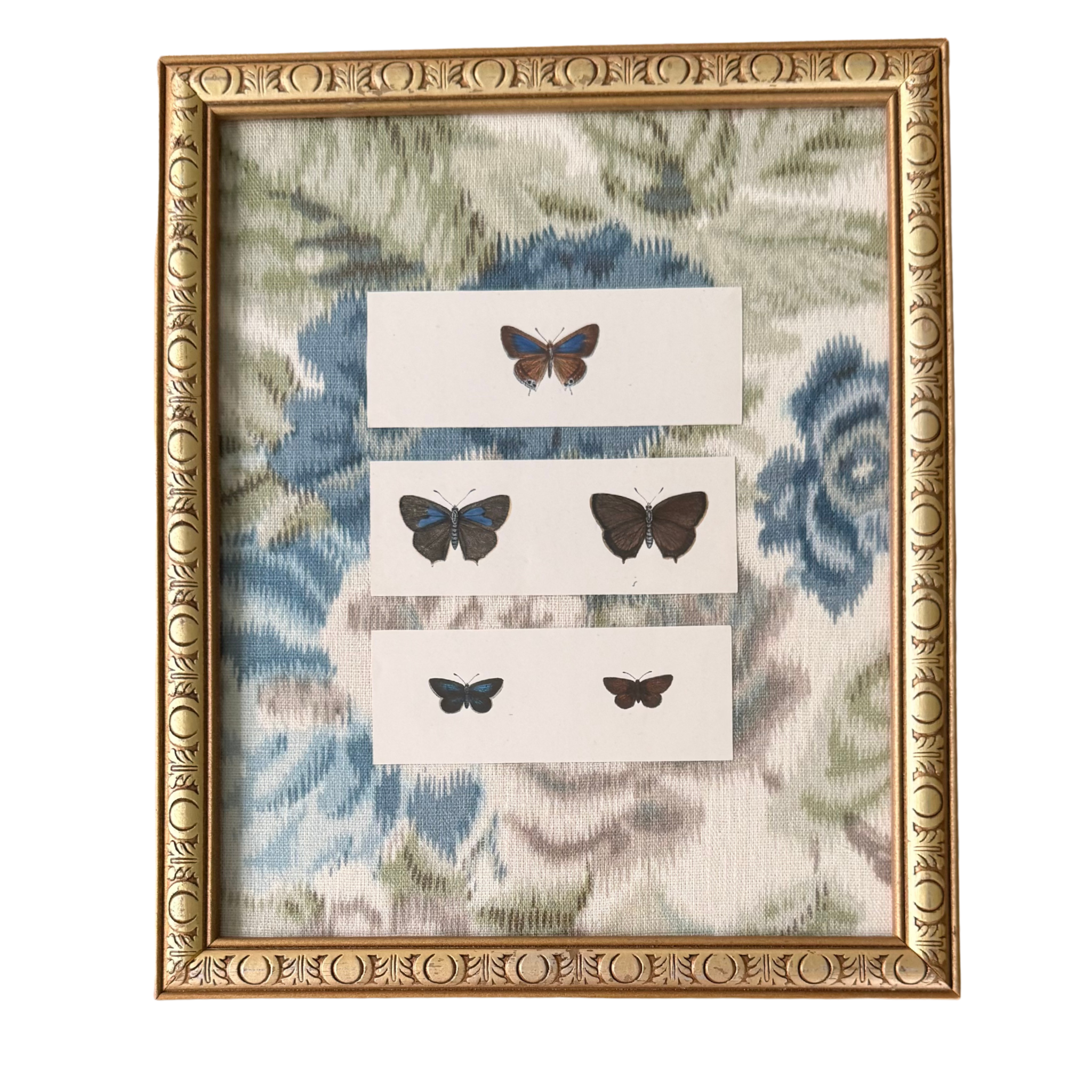 Framed Antique Butterfly Engraving, Fabric Mat, Vintage Frame