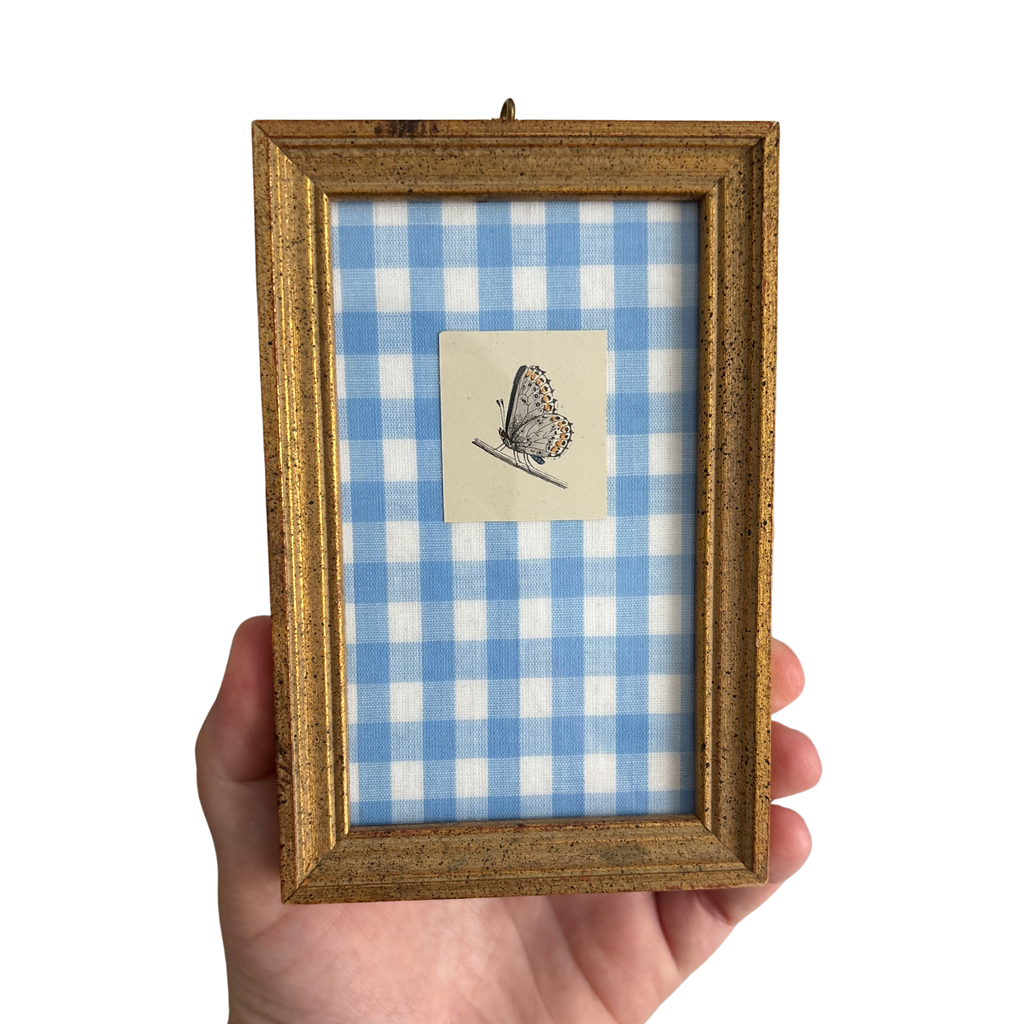 Framed Antique Butterfly Engravings, Blue Gingham Fabric, Priced Individually