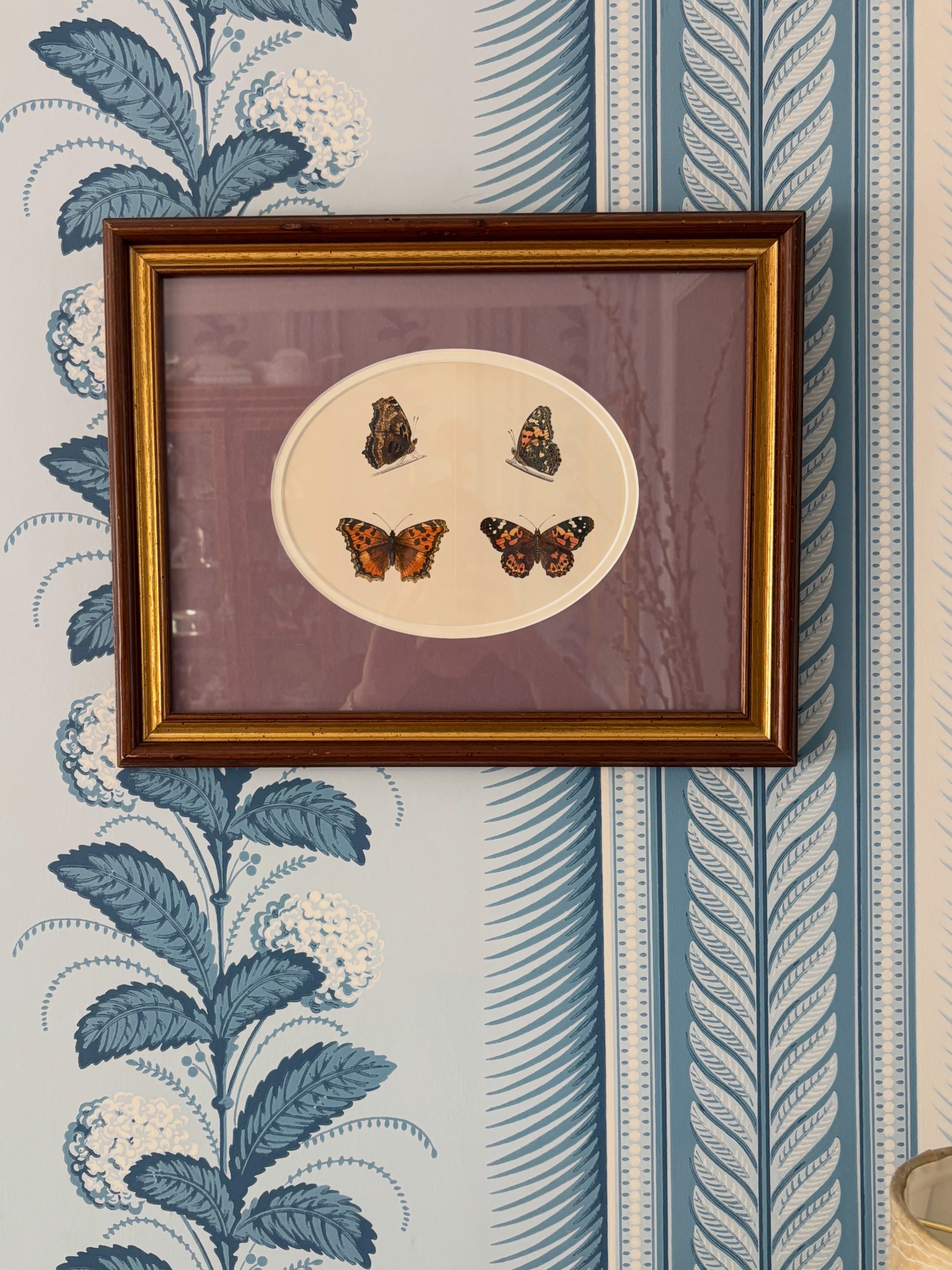 Antique Butterfly Engraving, Purple Mat, Vintage Frame