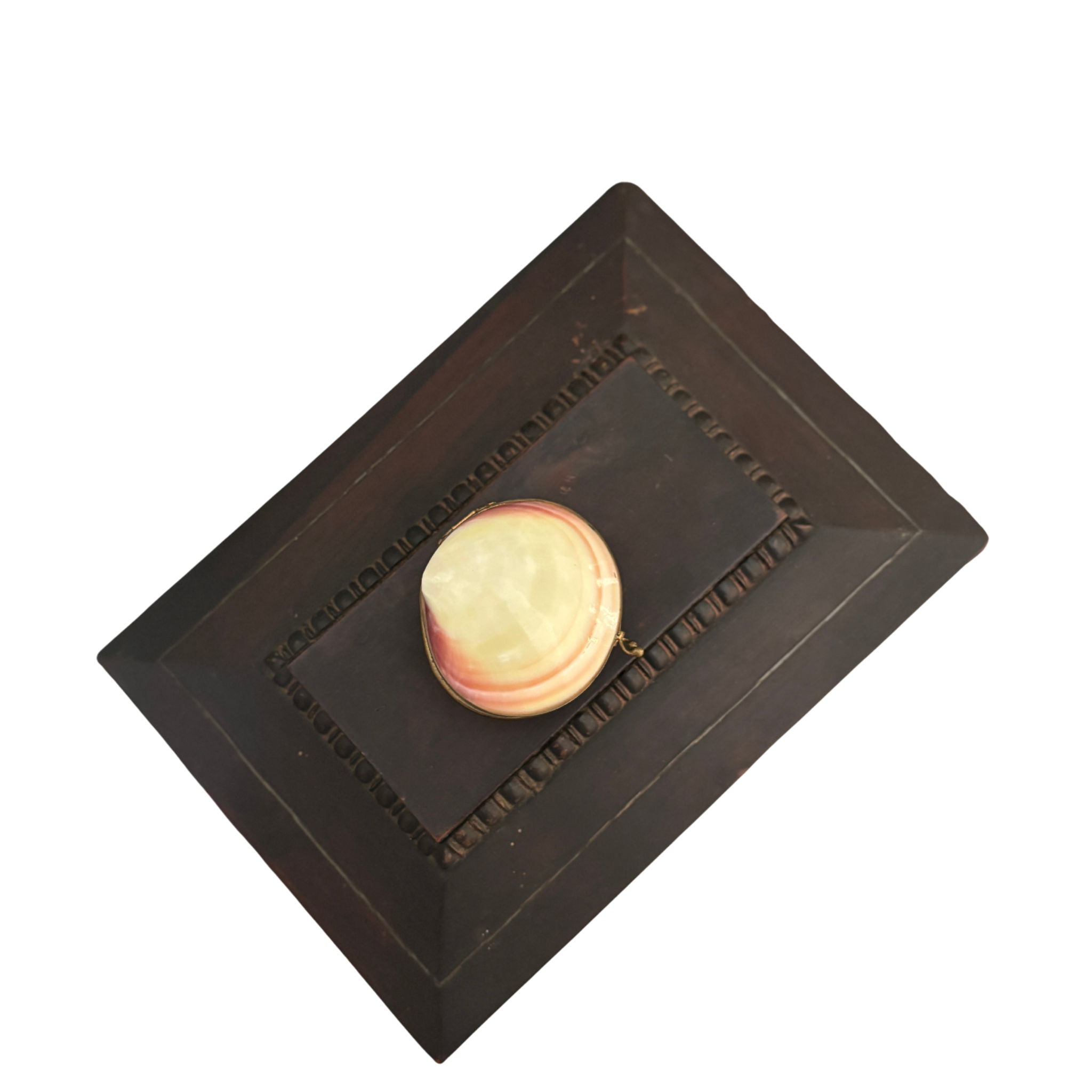 Real Shell Trinket Box