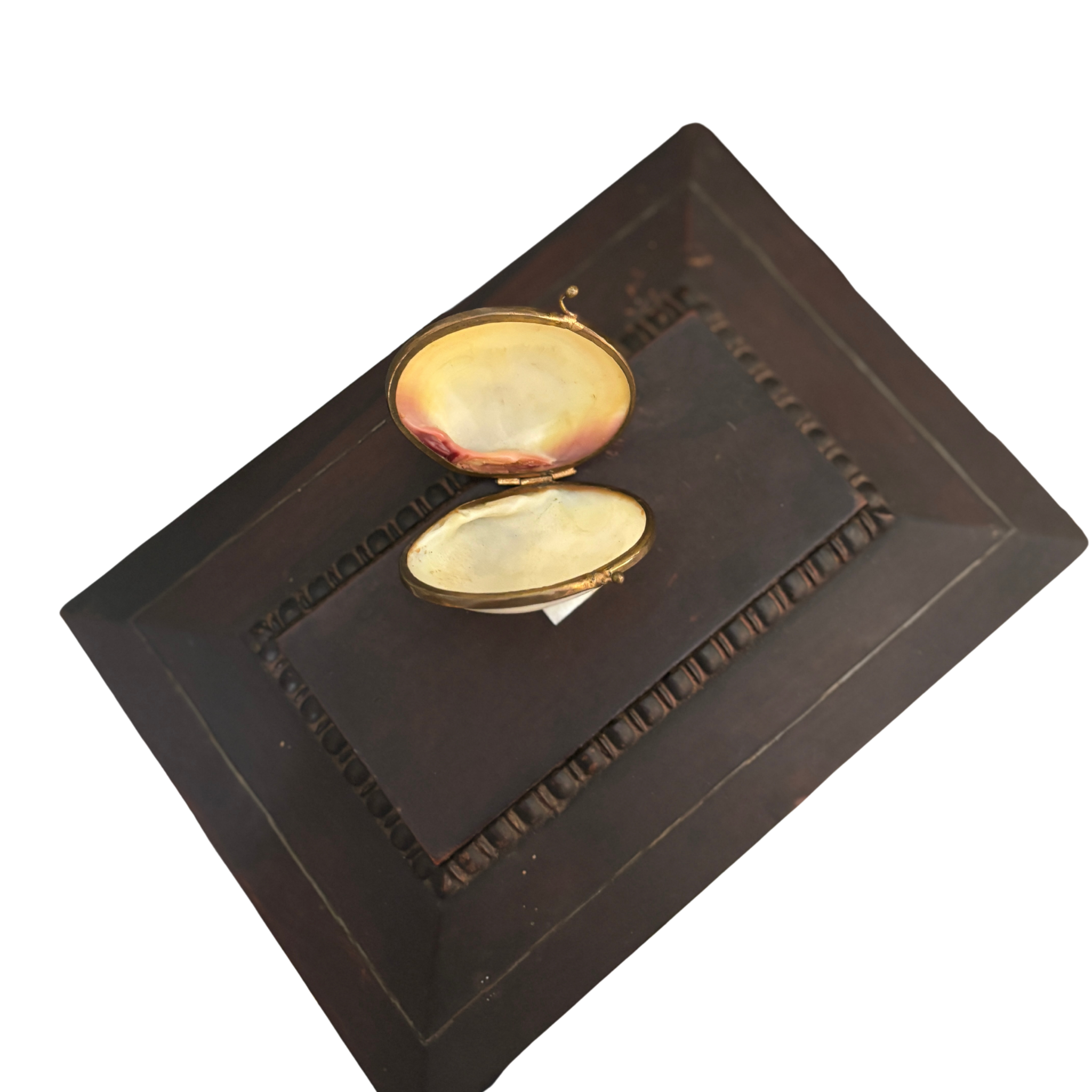 Real Shell Trinket Box