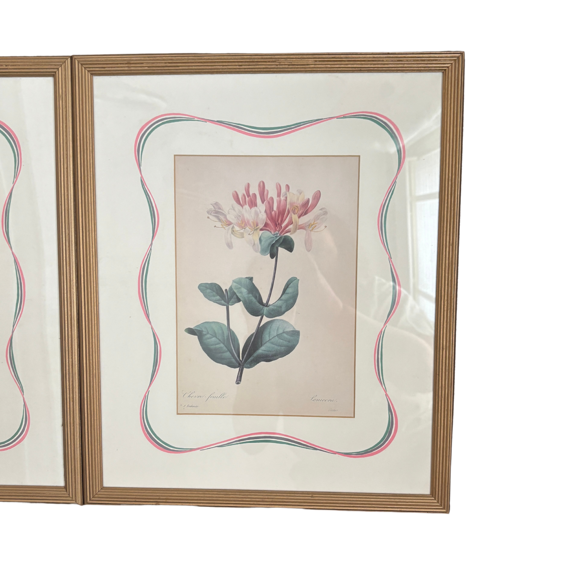 Vintage Reproduction Antique Botanicals Pair