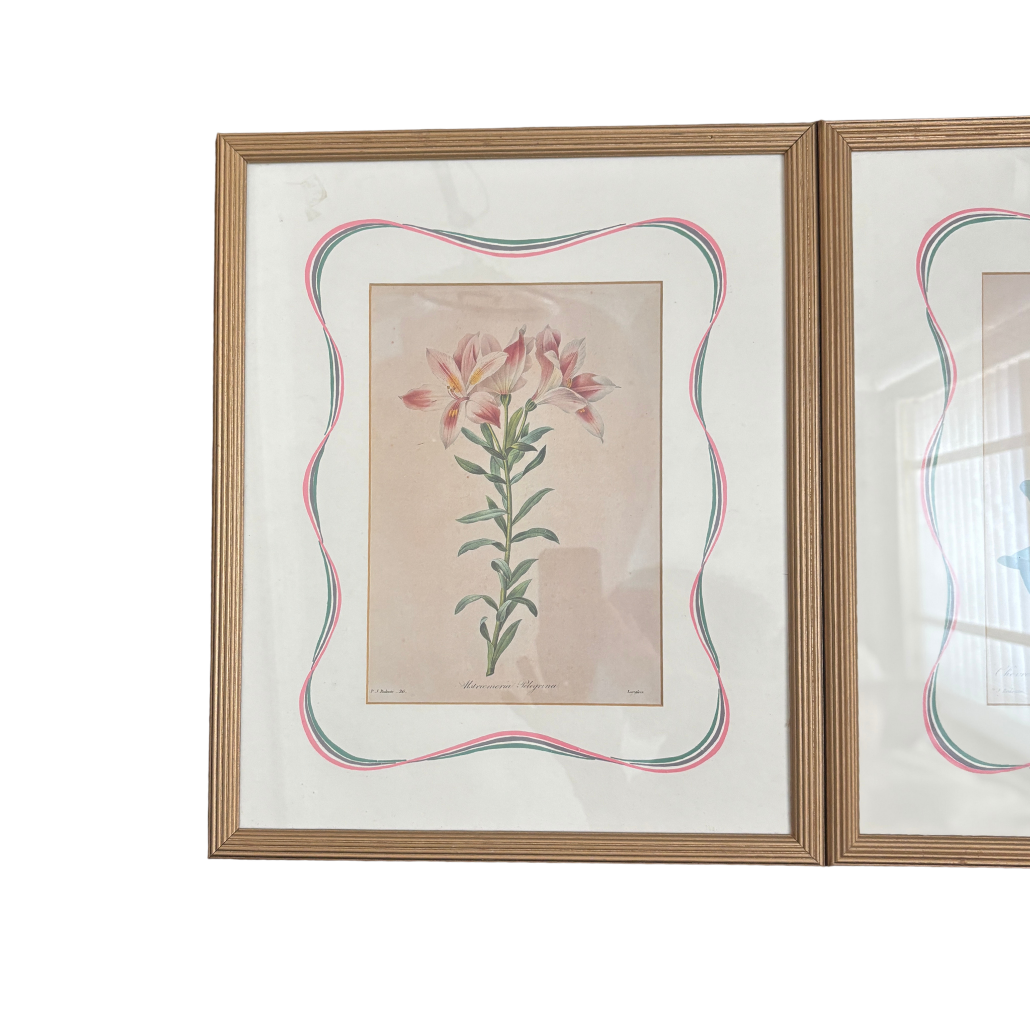 Vintage Reproduction Antique Botanicals Pair