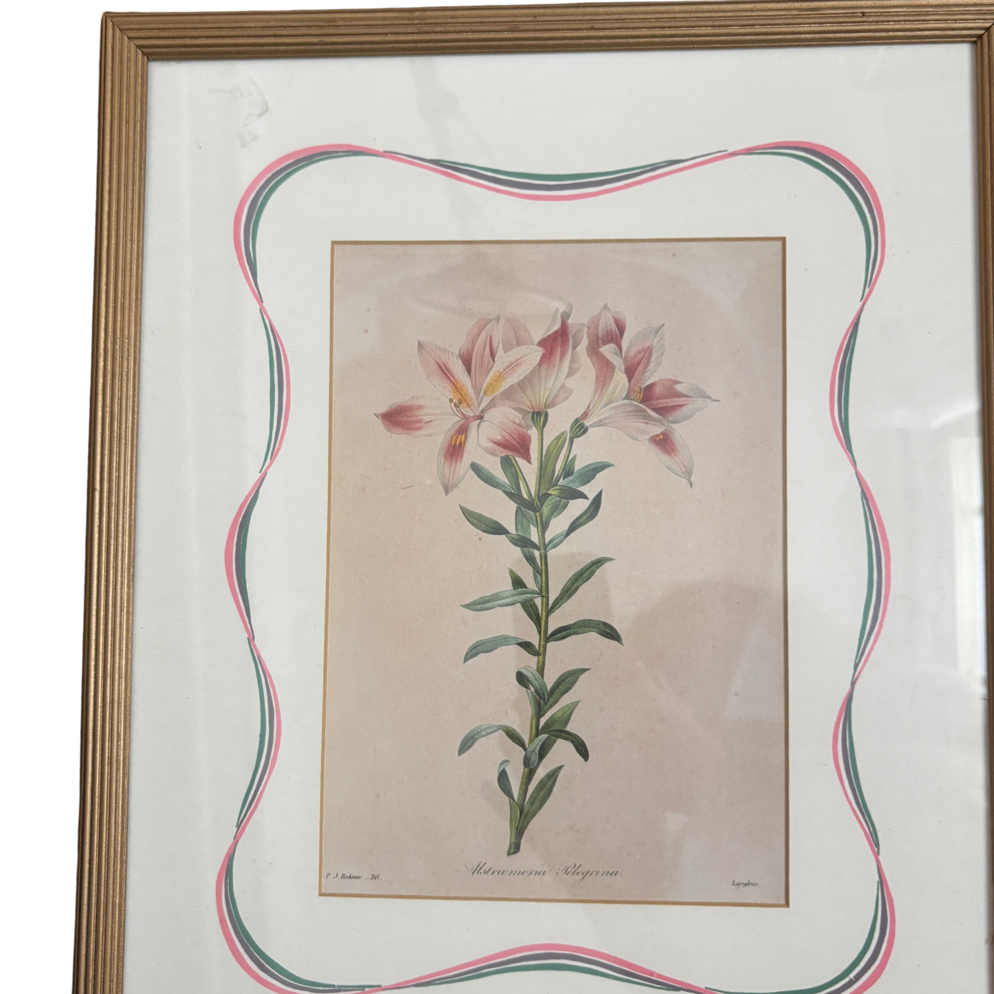 Vintage Reproduction Antique Botanicals Pair