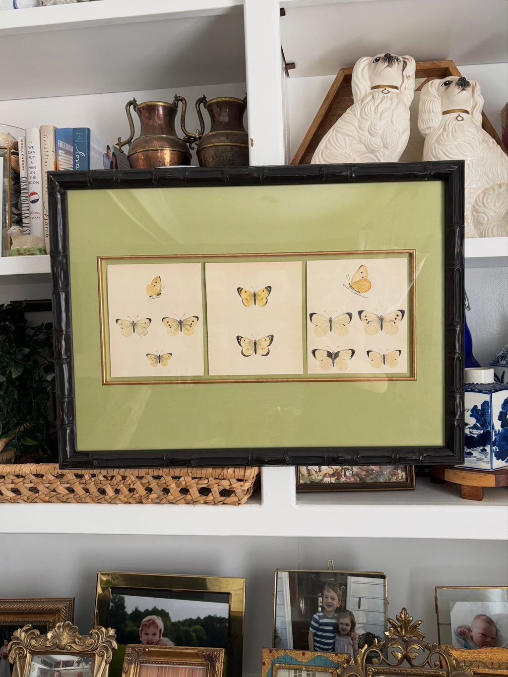 Antique Butterfly Engravings, Light Green Mat, Vintage Frame