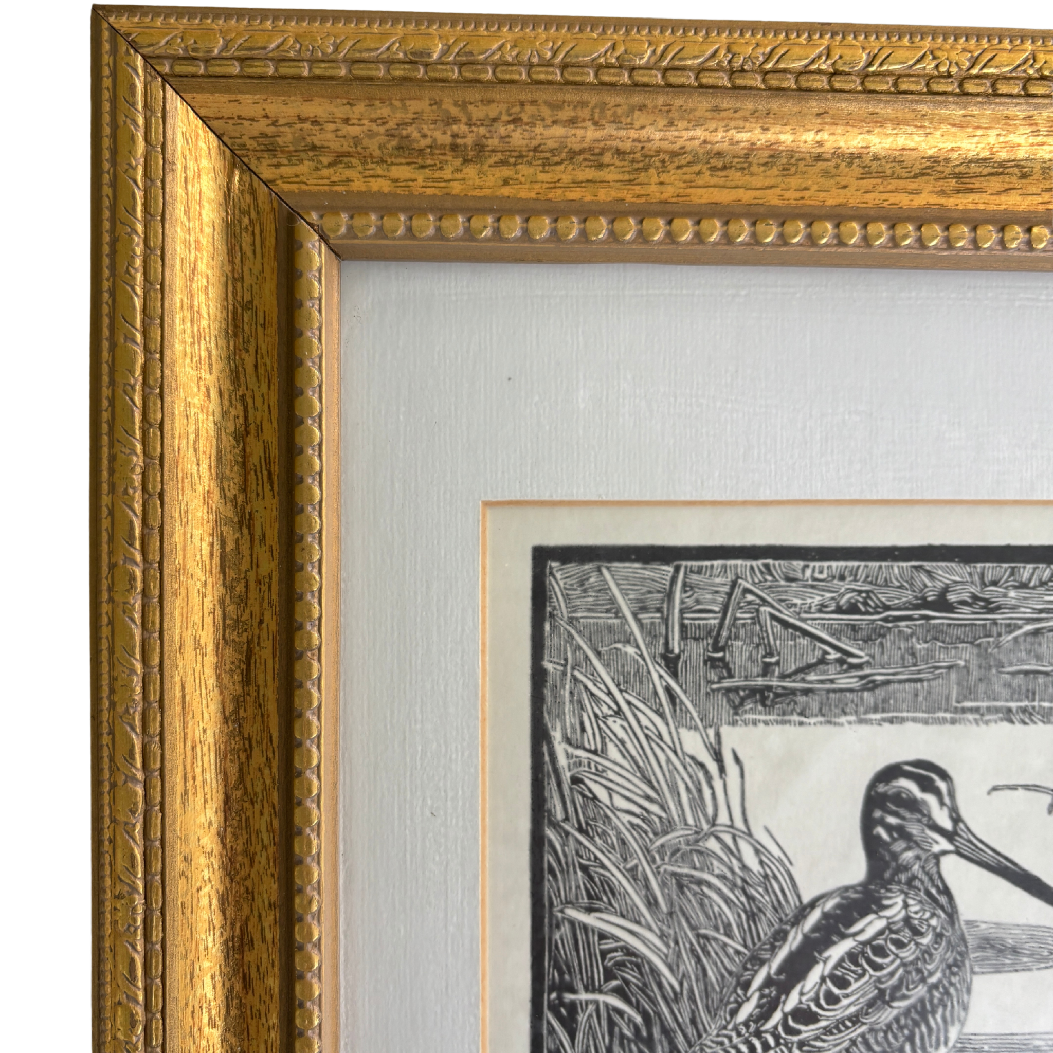Johannes Larsen Black & White Snipe Woodcut Print