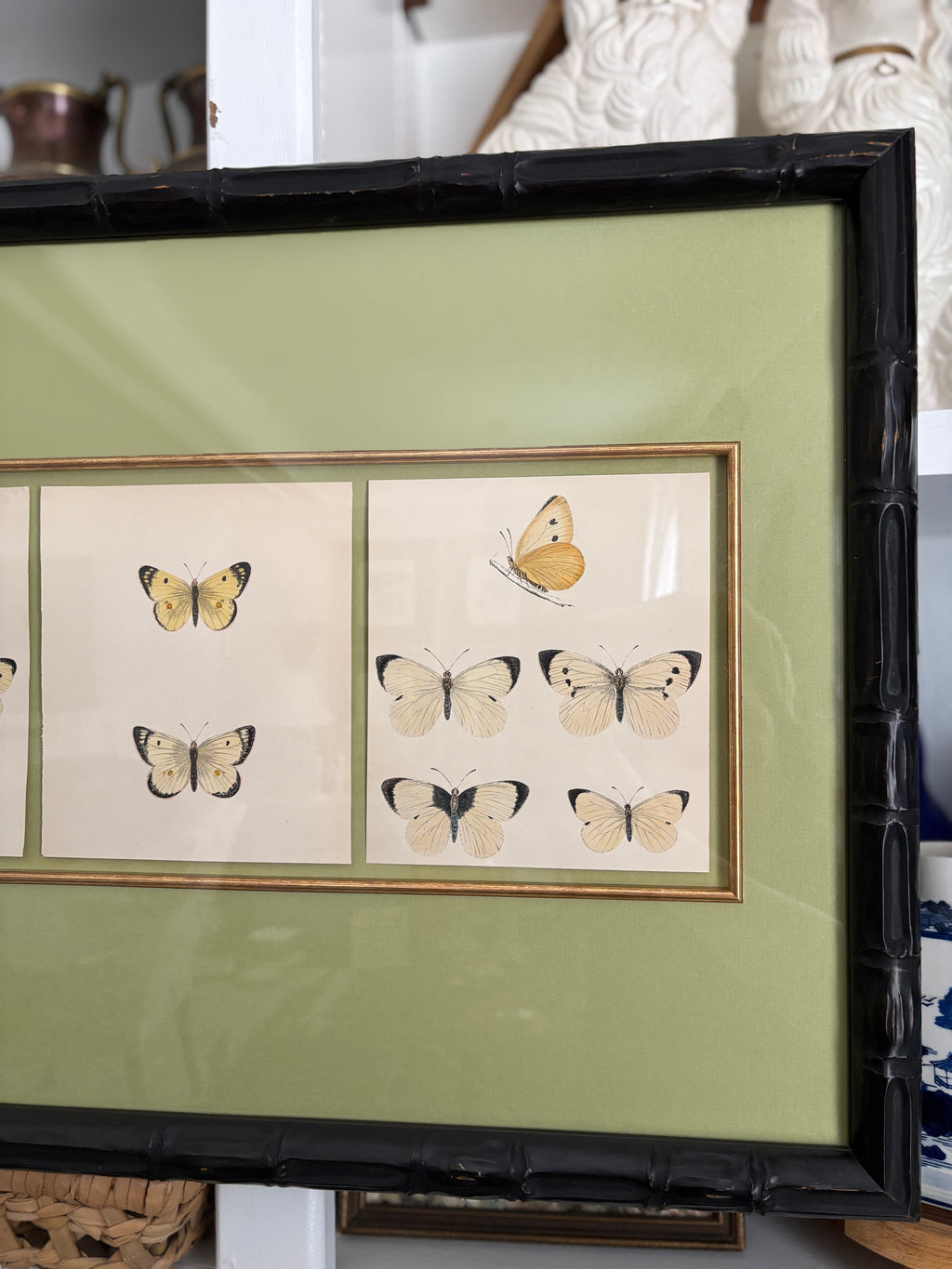 Antique Butterfly Engravings, Light Green Mat, Vintage Frame