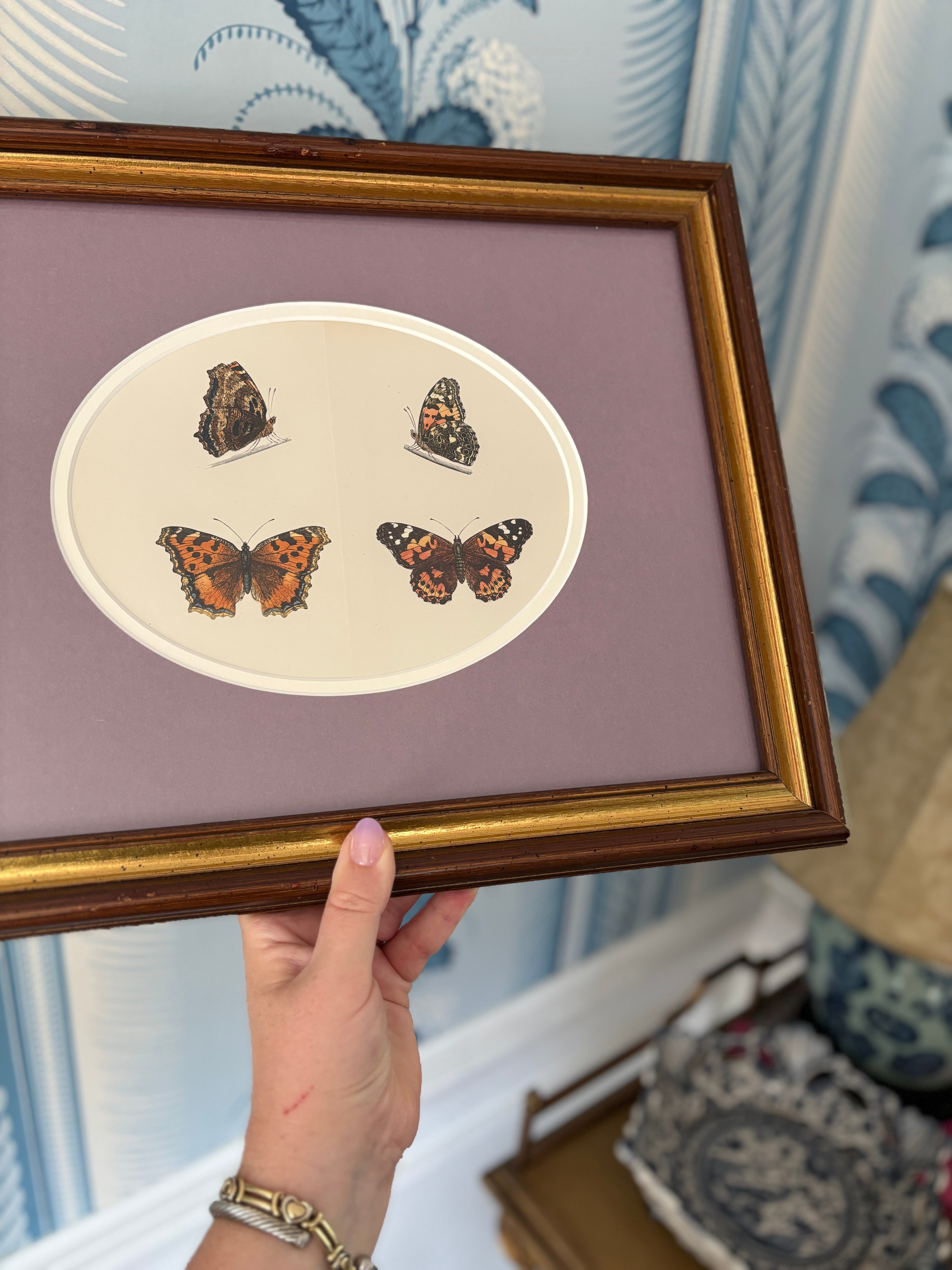 Antique Butterfly Engraving, Purple Mat, Vintage Frame